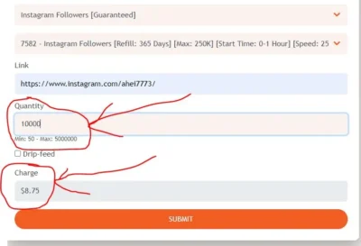 Internet Secrets Of The Rich And Famous